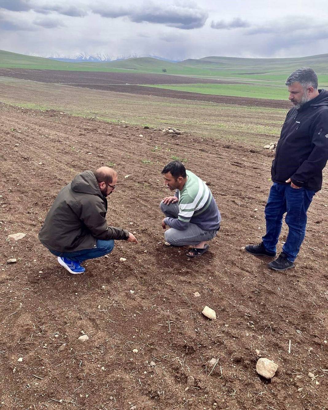 Tarımda tarihin en büyük felaketi yaşanıyor! Meyve, sebze fiyatlarında rekor artış yaşanacak 29